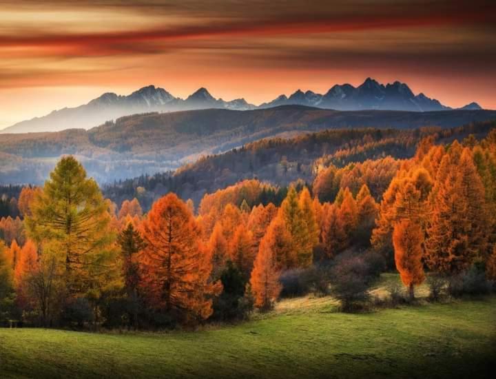 Tatry Panorama Apartmany Tatragolf Tatranska Lomnica Ngoại thất bức ảnh